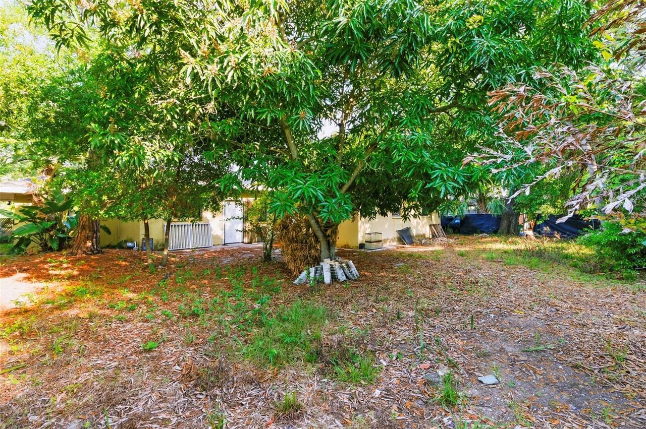 Listing Photo 27