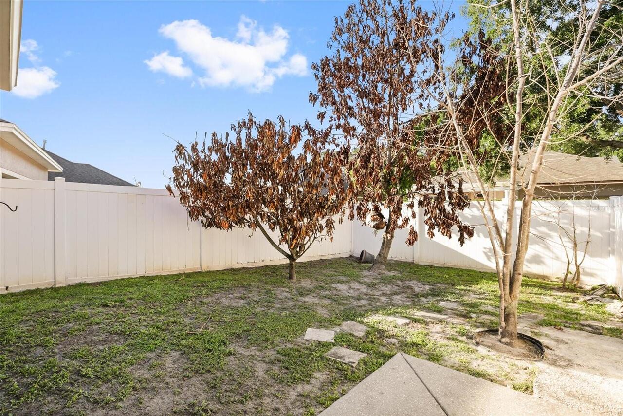 Listing Photo 24