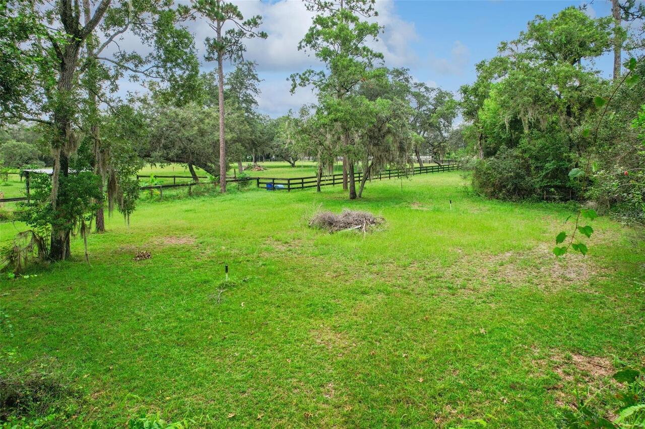 Listing Photo 14
