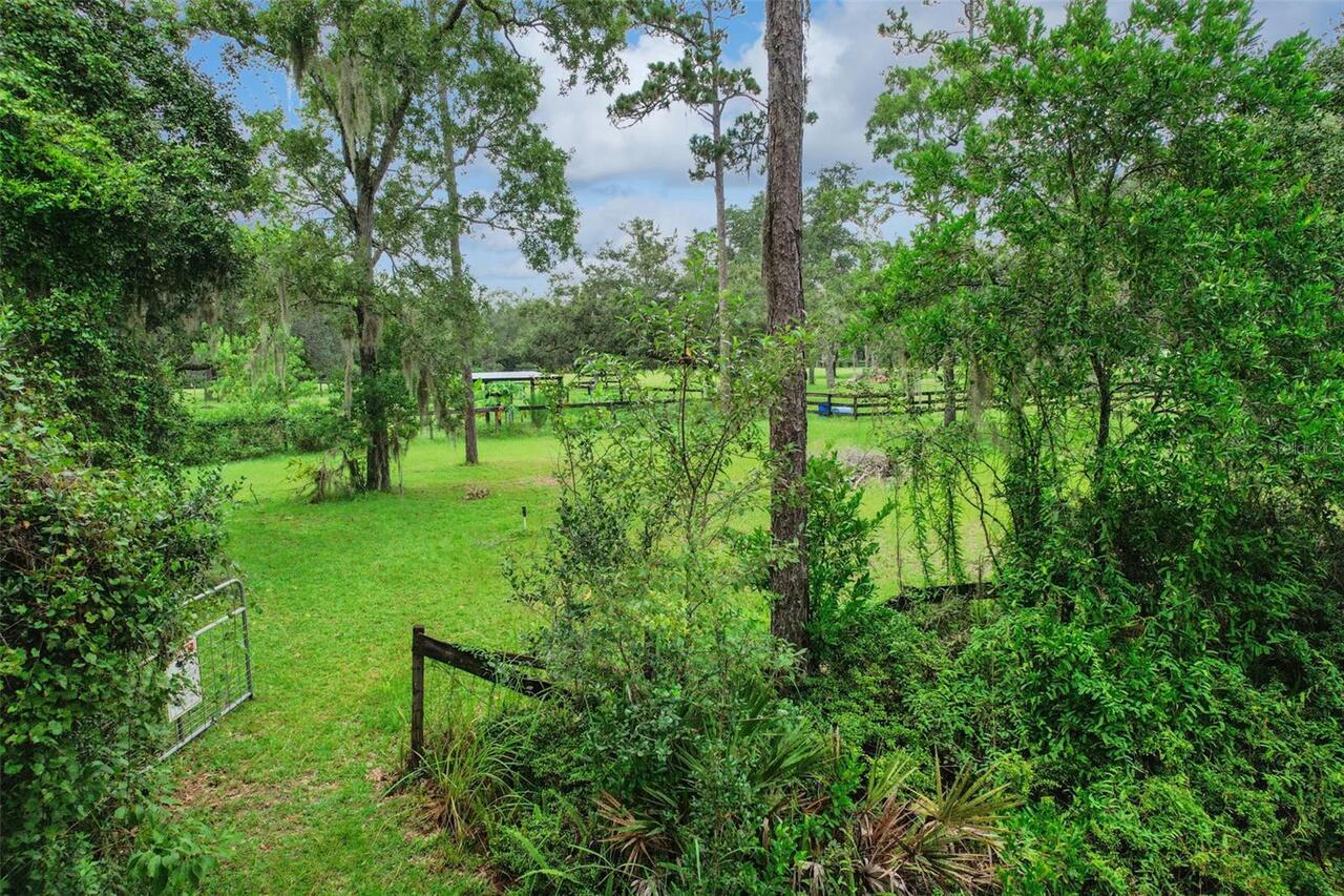 Listing Photo 74