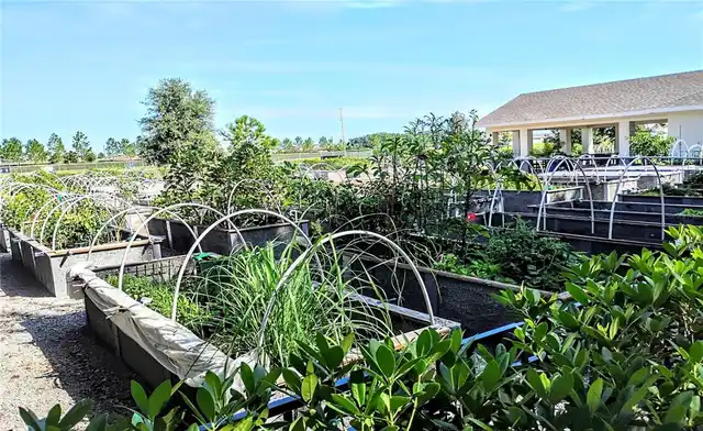 Listing Photo 61