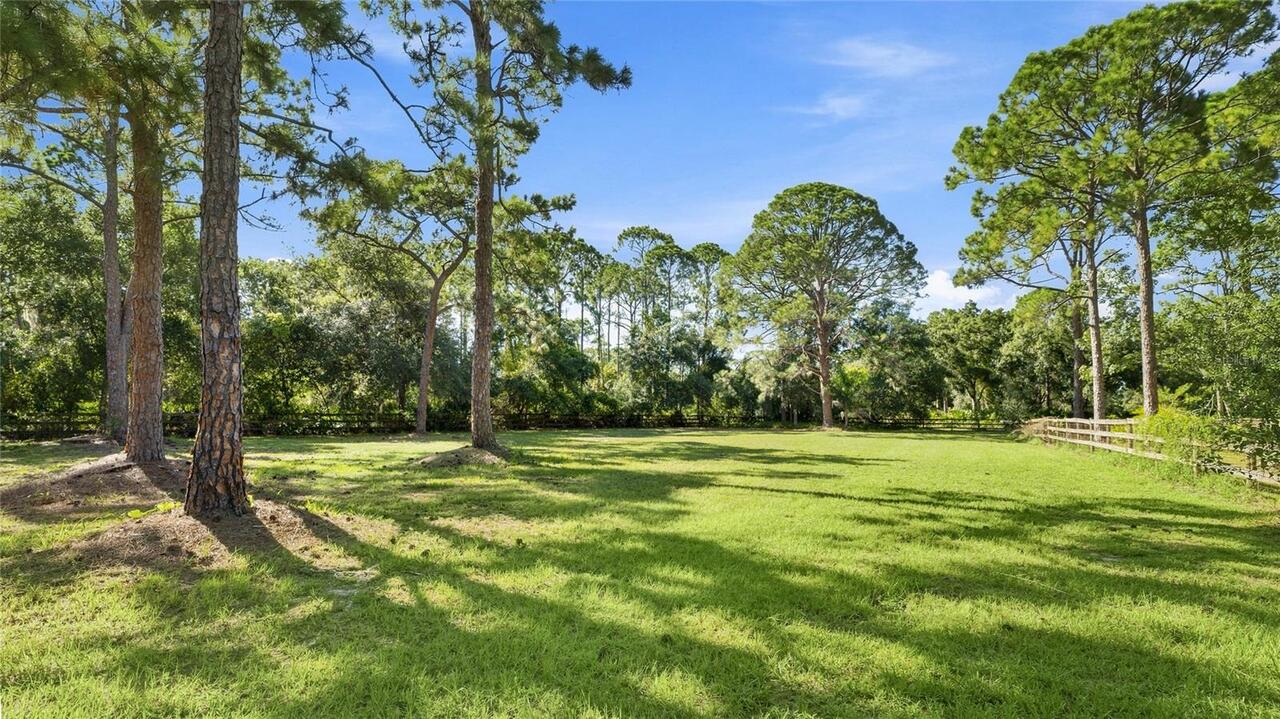 Listing Photo 81