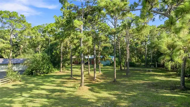 Listing Photo 75