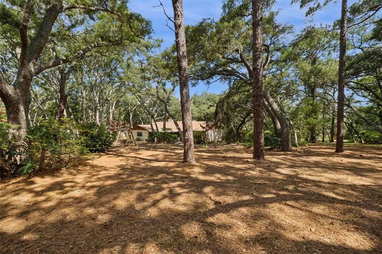 Listing Photo 21