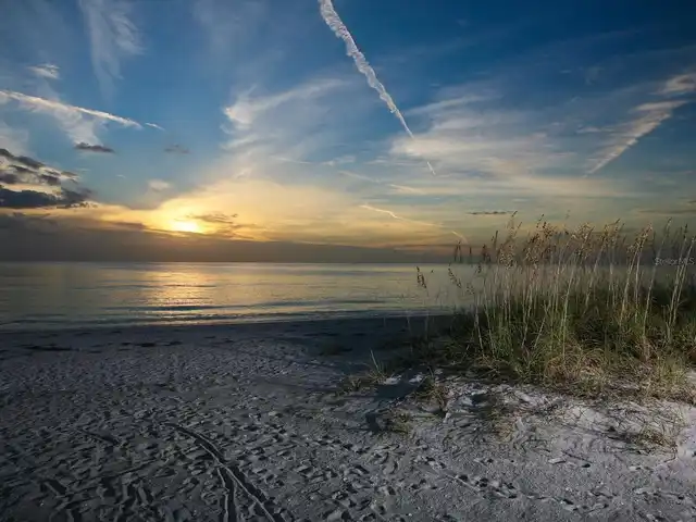 Listing Photo 40