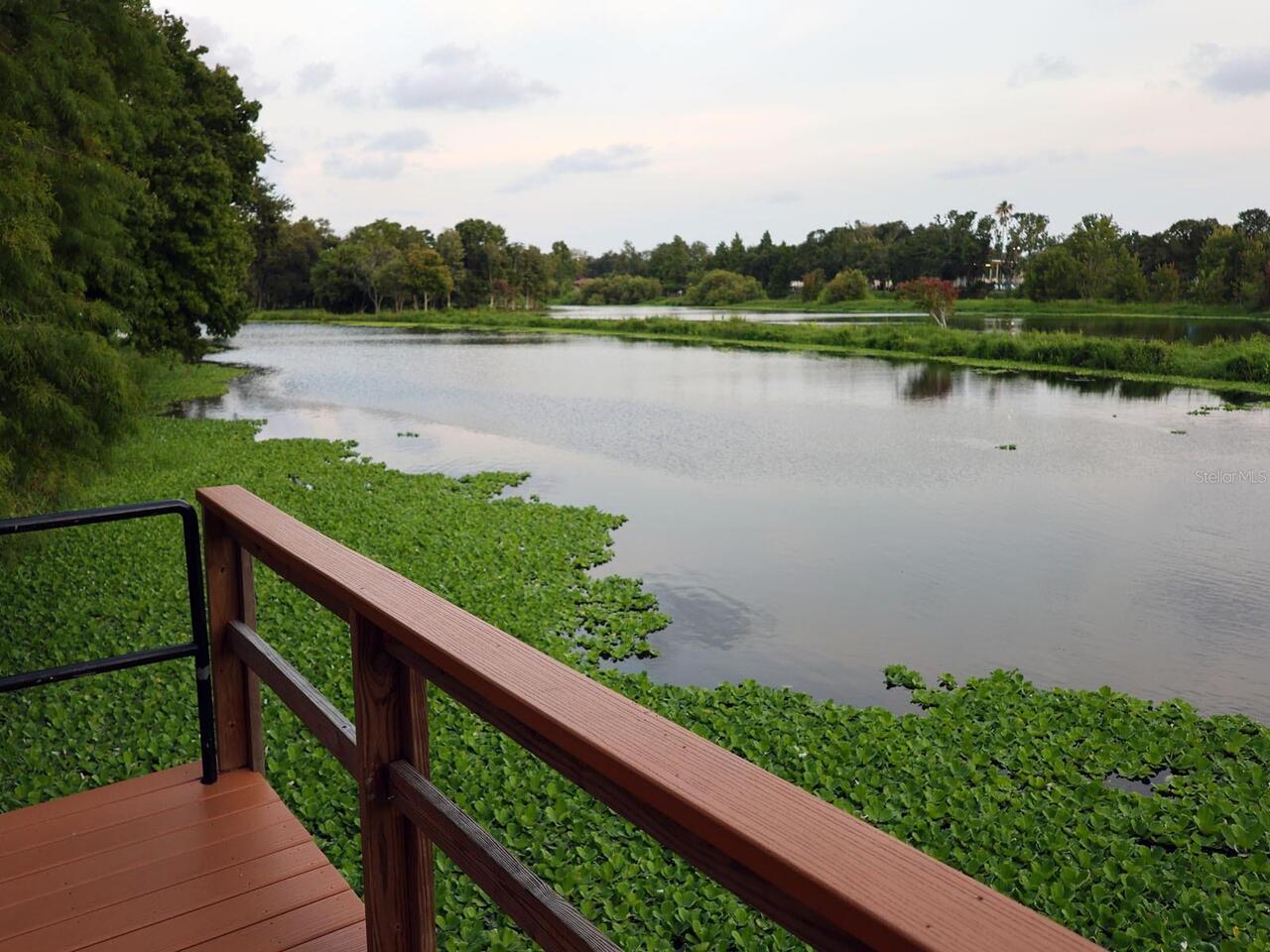 Listing Photo 61