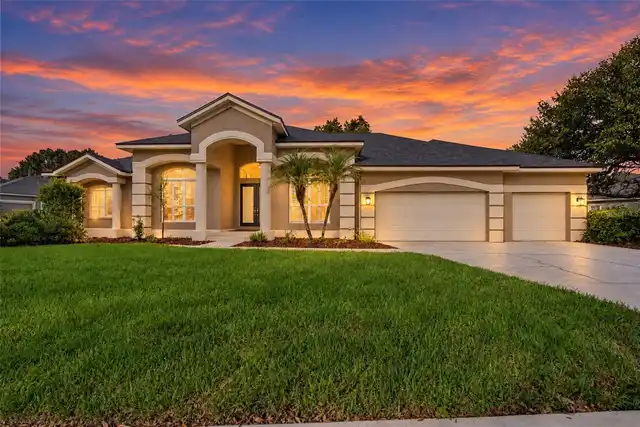 Lutz Real Estate