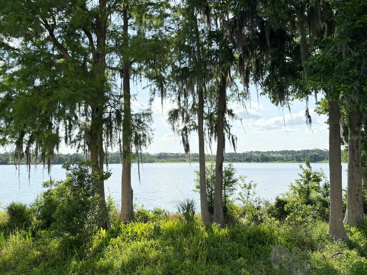 Listing Photo 32