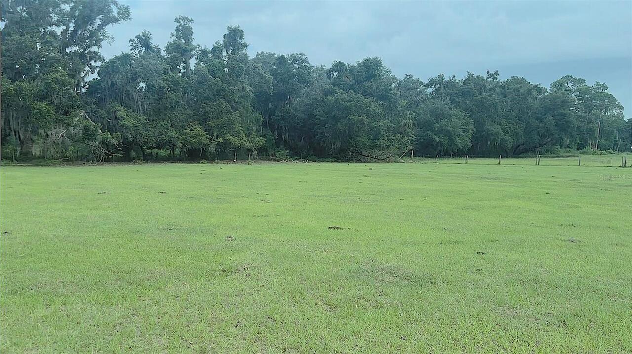 Listing Photo 6