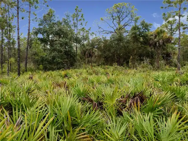 Listing Photo 69