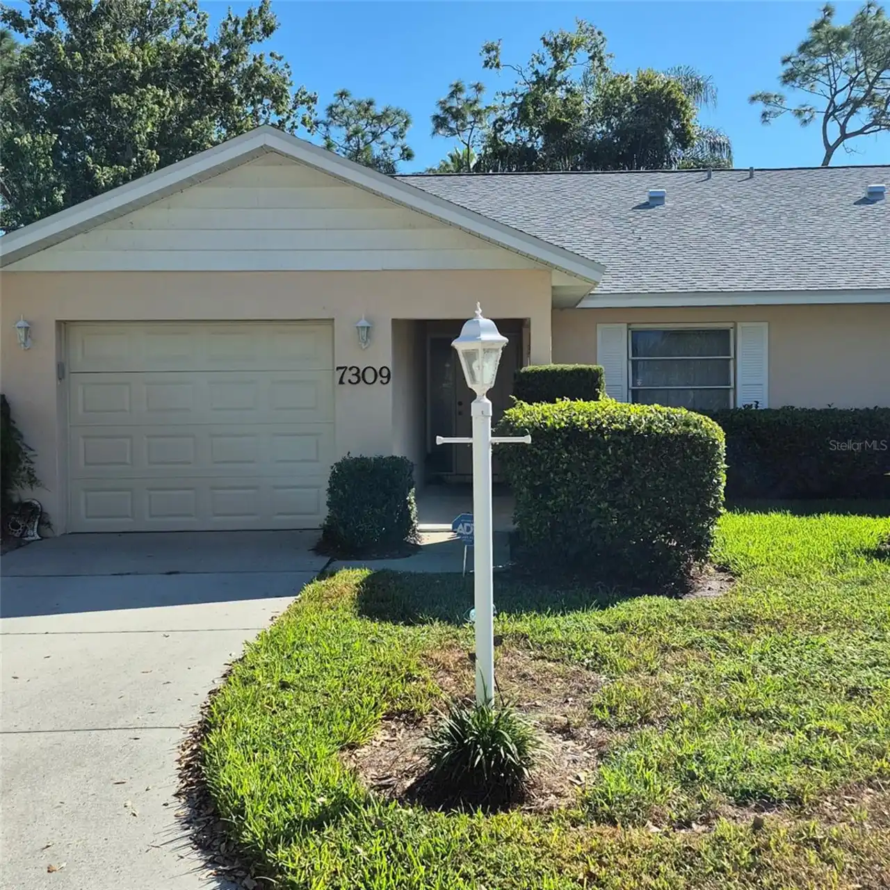 View Listing