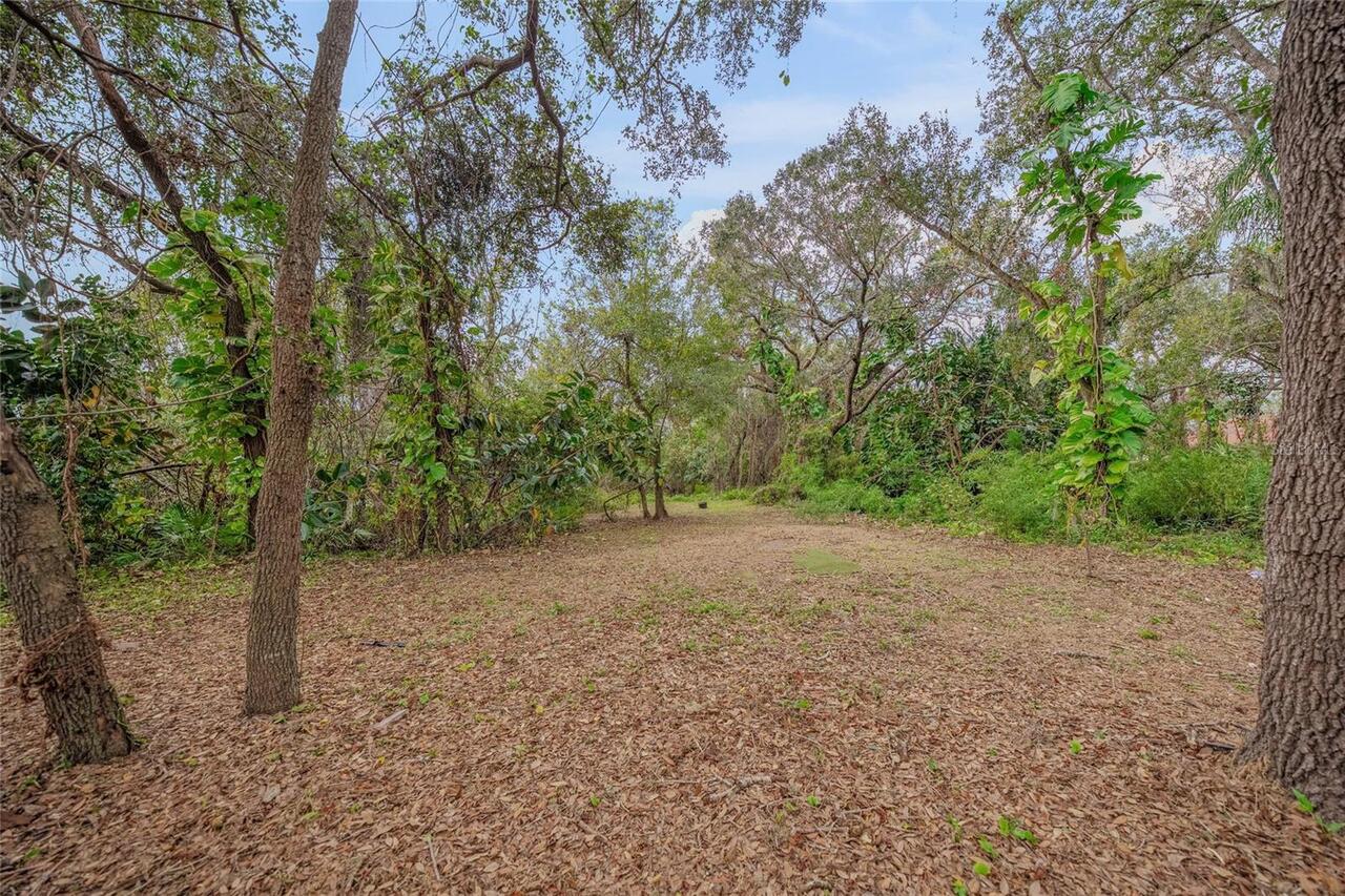 Listing Photo 81