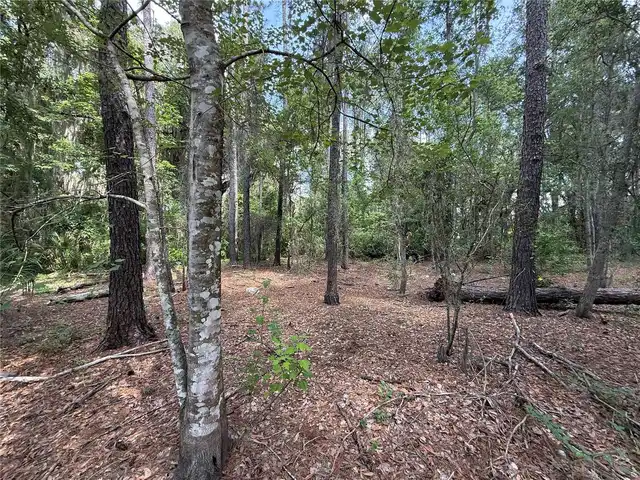 Listing Photo 6