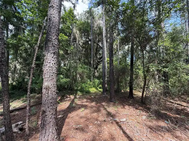 Listing Photo 7
