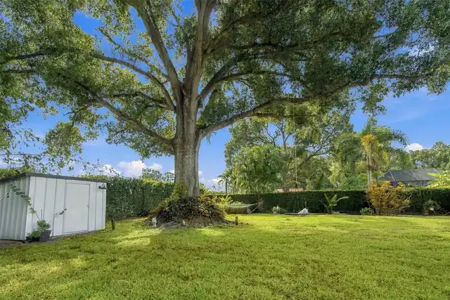 Listing Photo 82