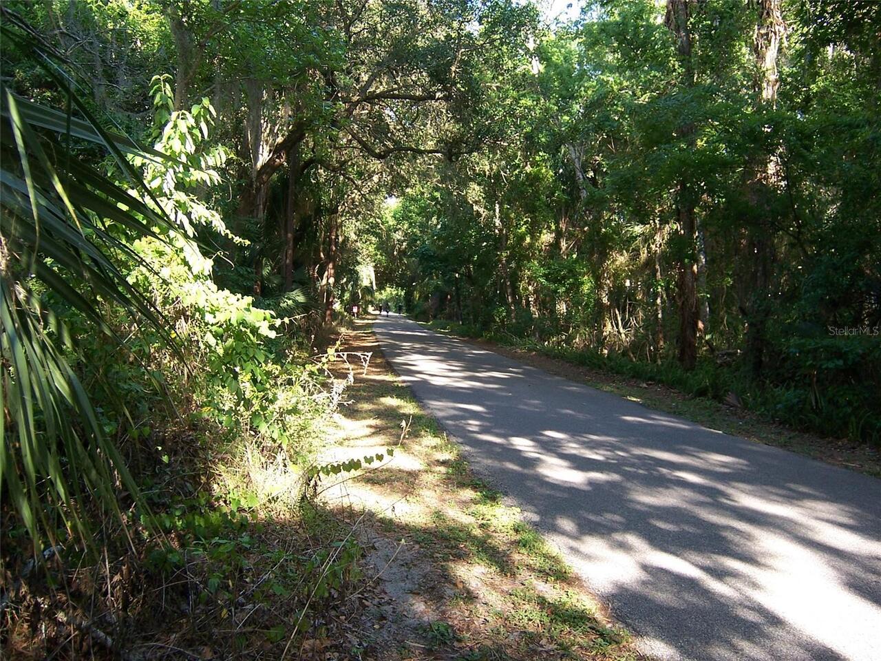 Listing Photo 22