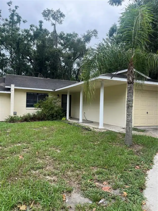 Mount Dora Real Estate