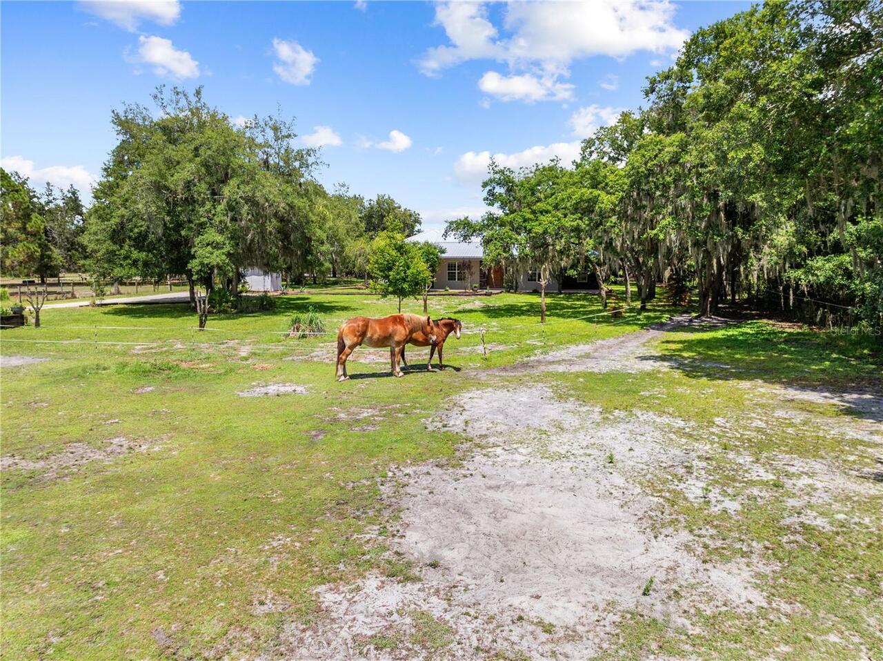 Listing Photo 96