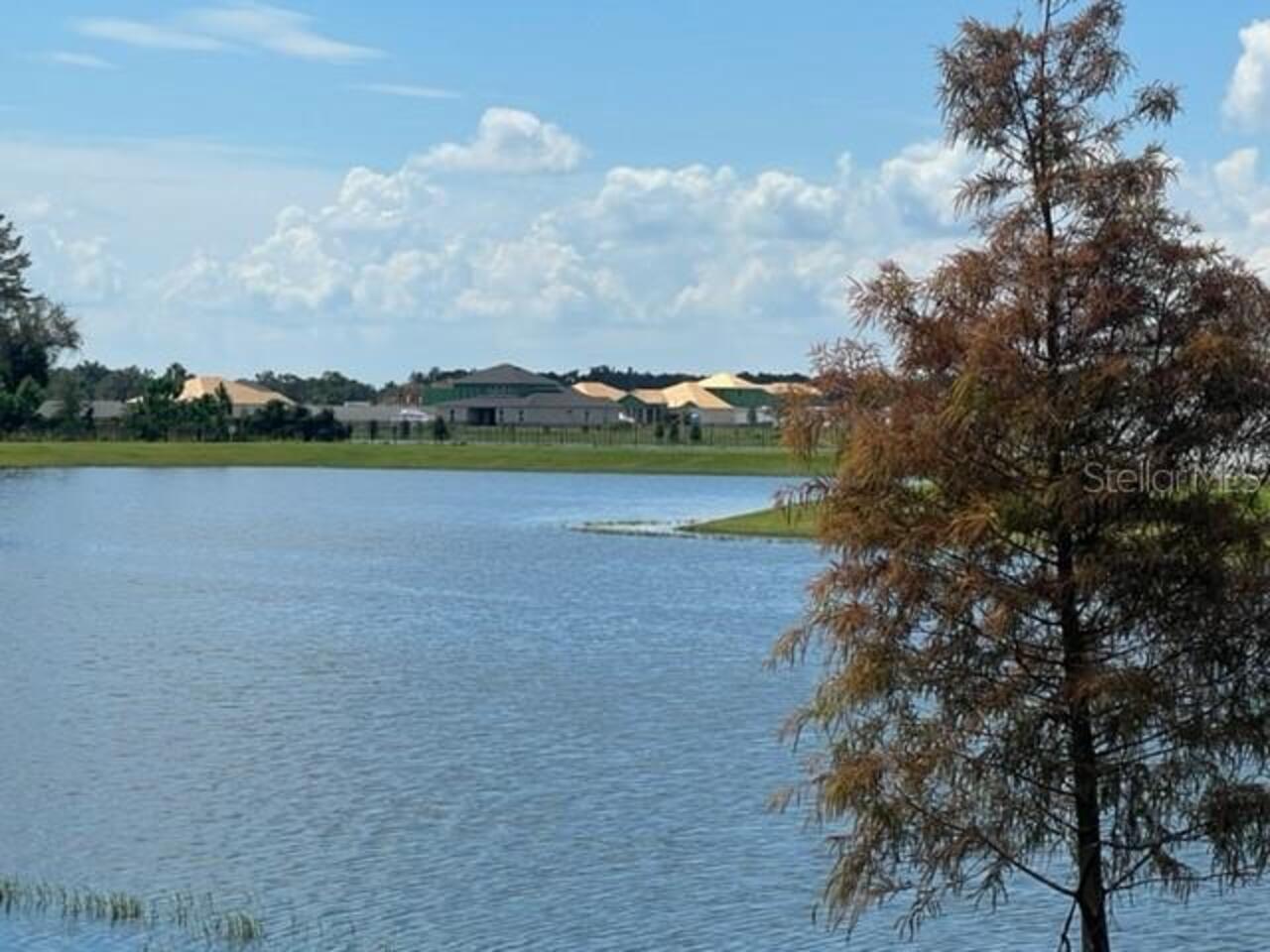 Listing Photo 41