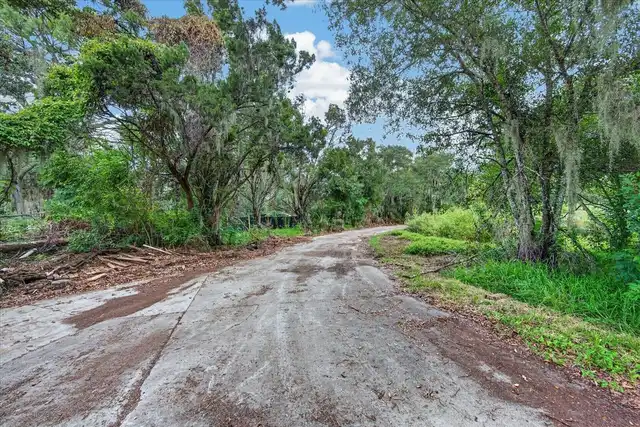 Listing Photo 31