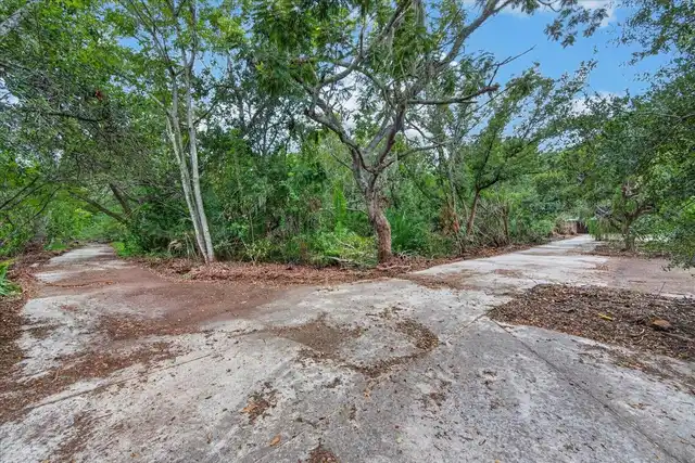 Listing Photo 33