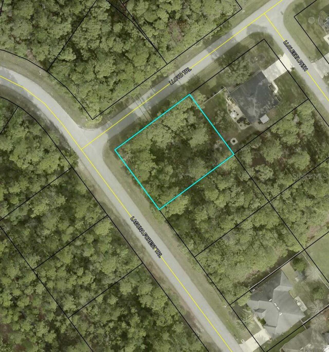 View Listing