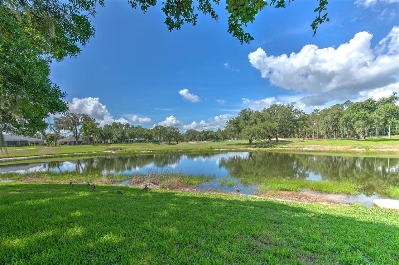 Listing Photo 42