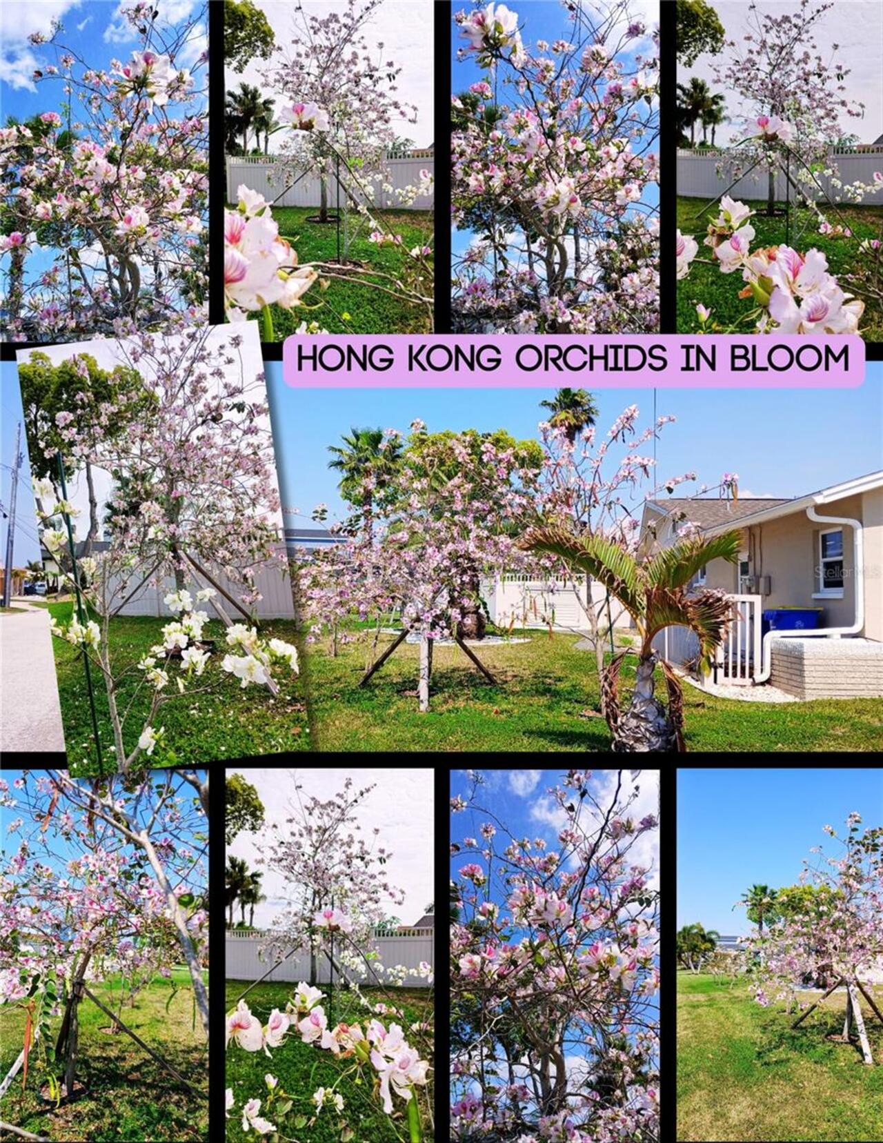 Listing Photo 88
