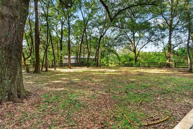 Listing Photo 38