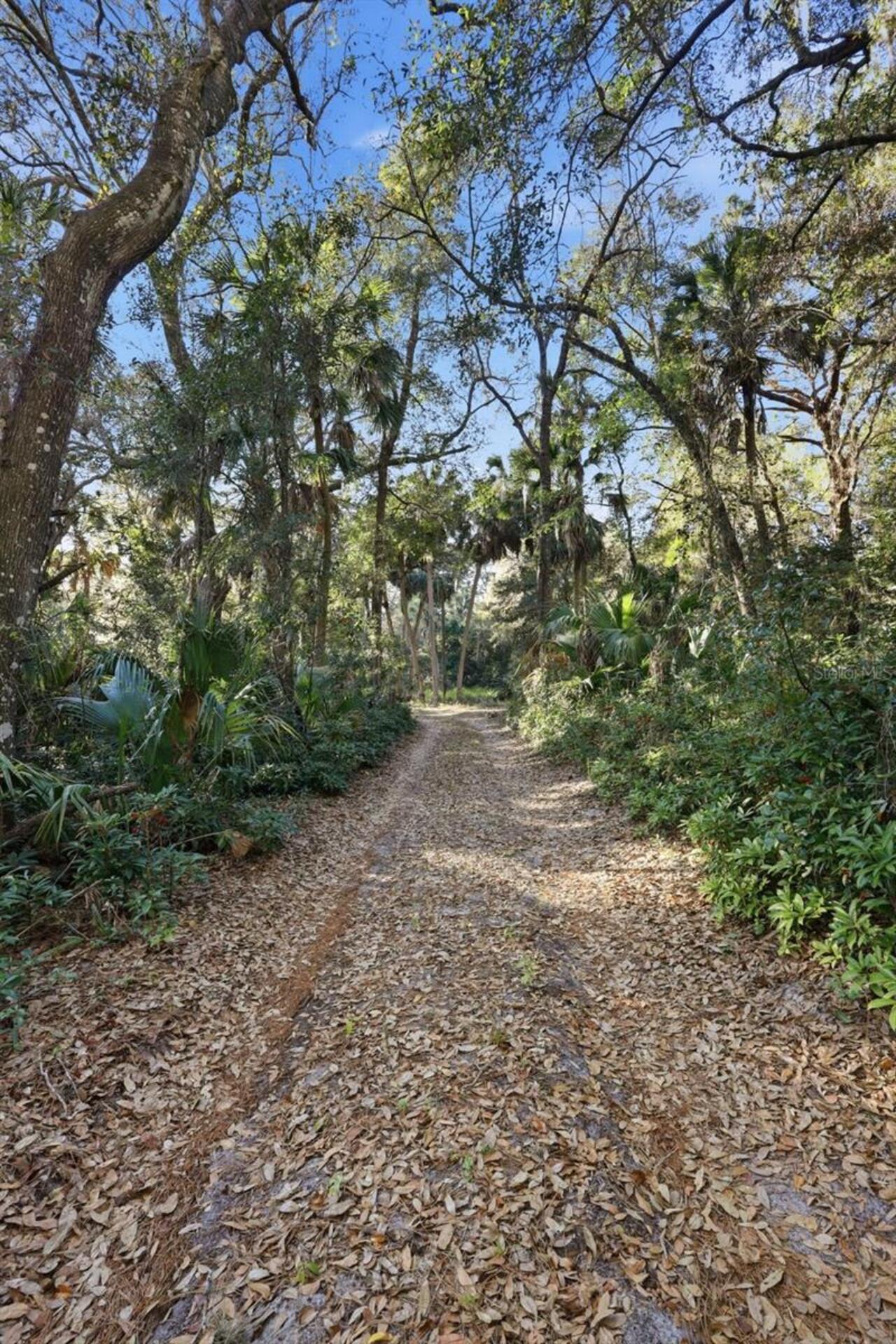 Listing Photo 21