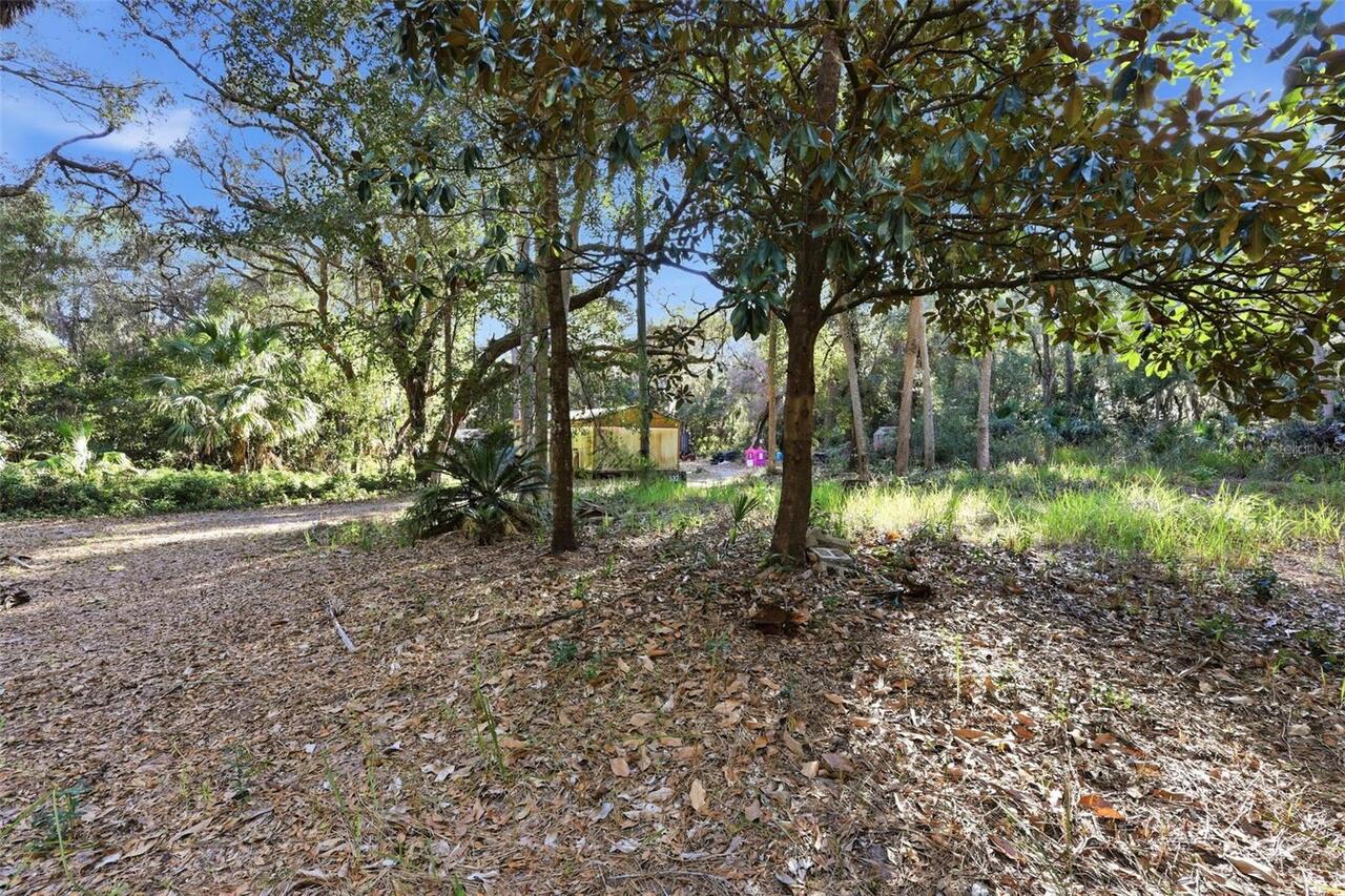Listing Photo 22