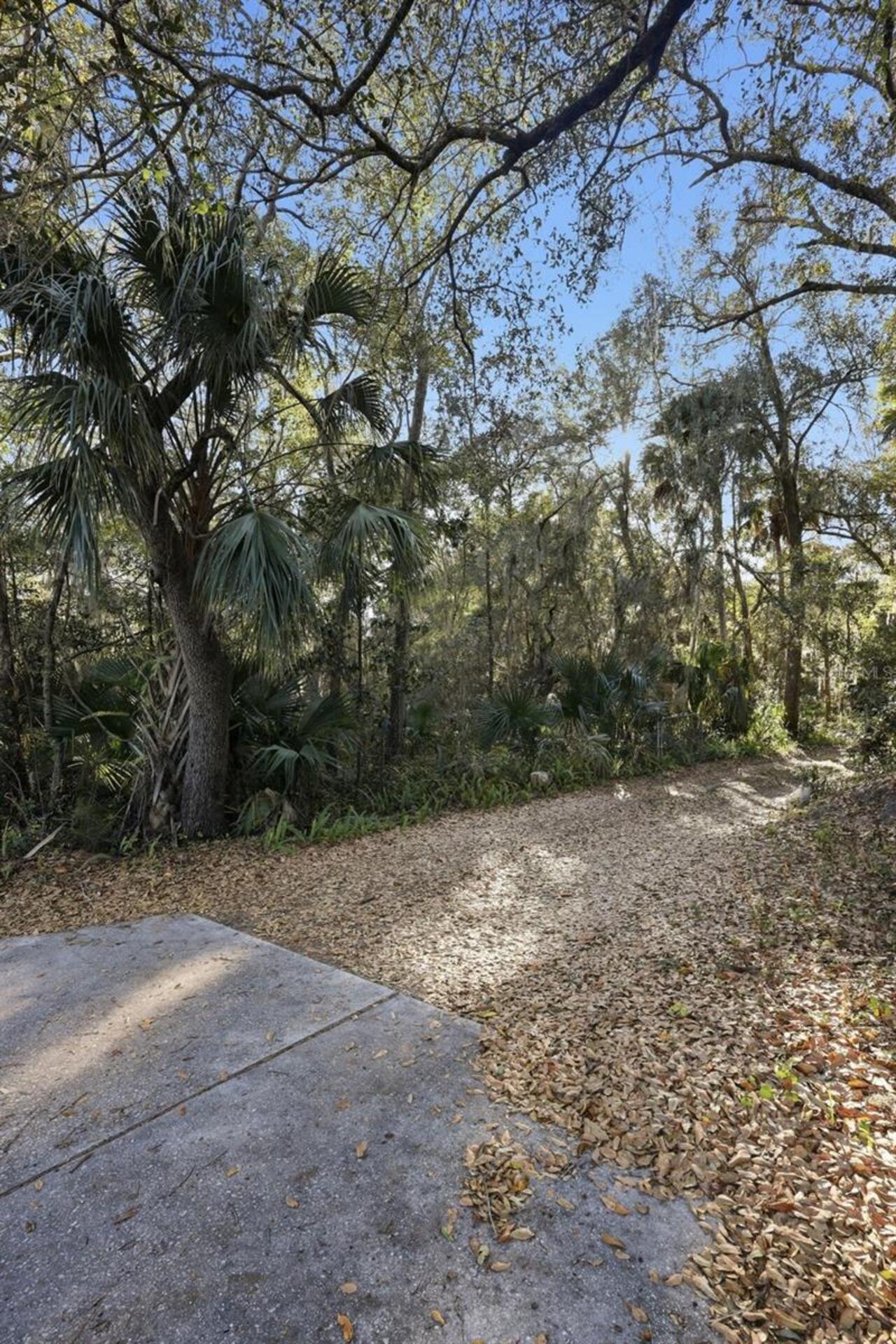 Listing Photo 25