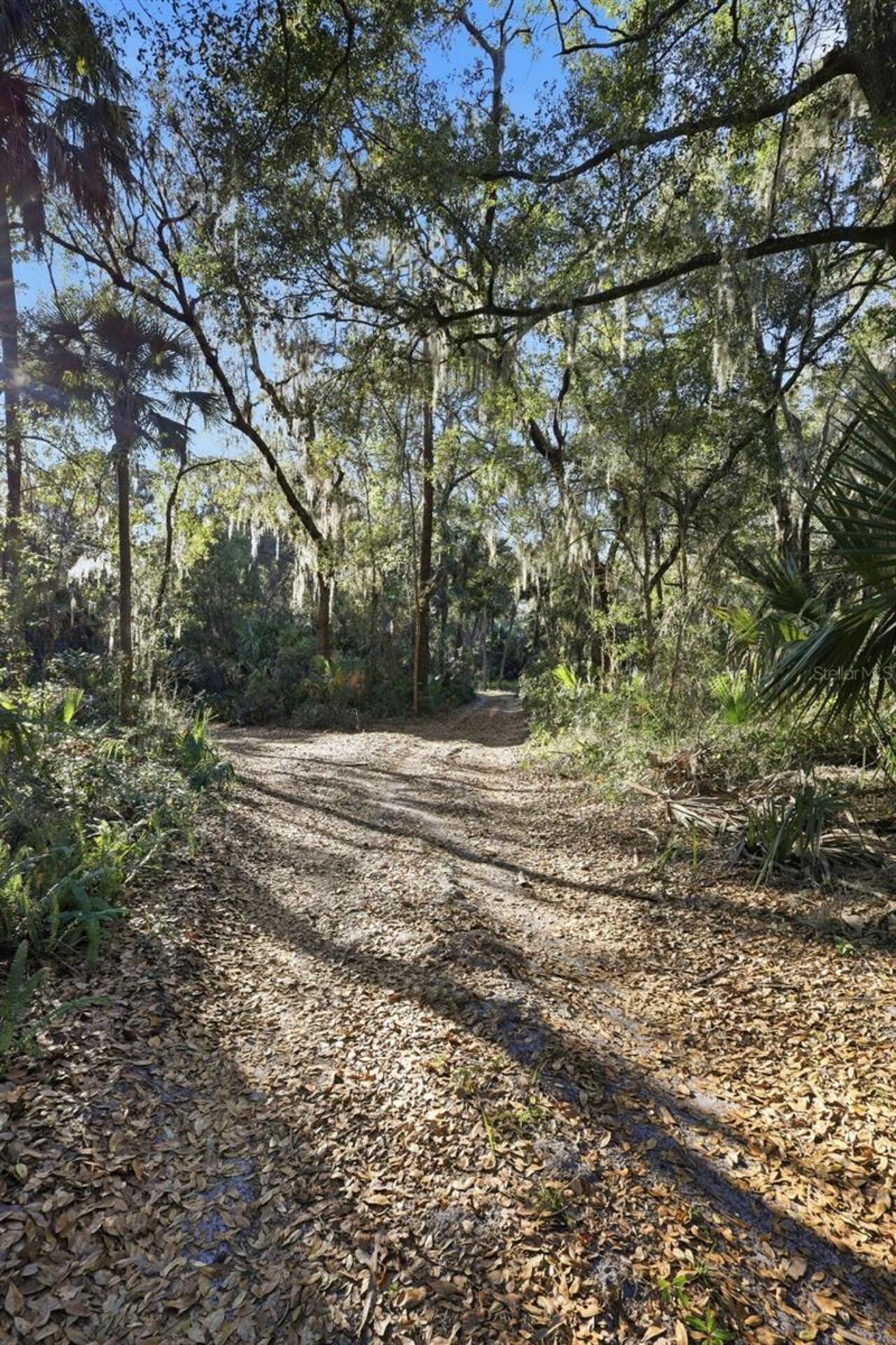 Listing Photo 27