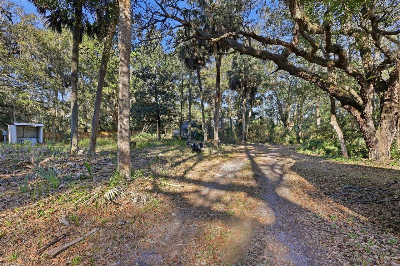 Listing Photo 29