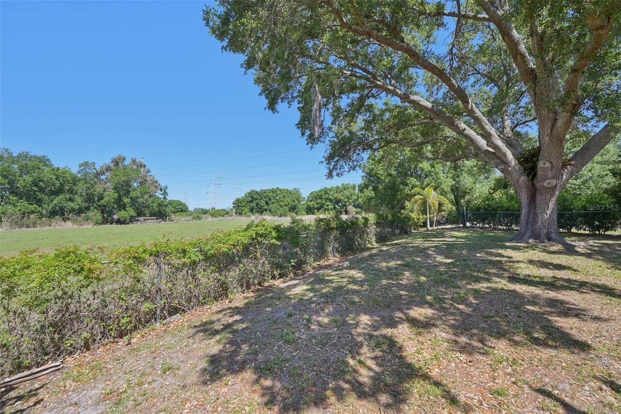 Listing Photo 29