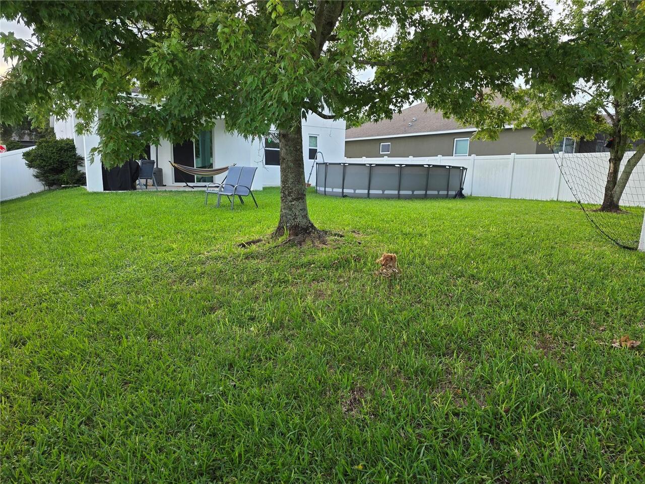 Listing Photo 14