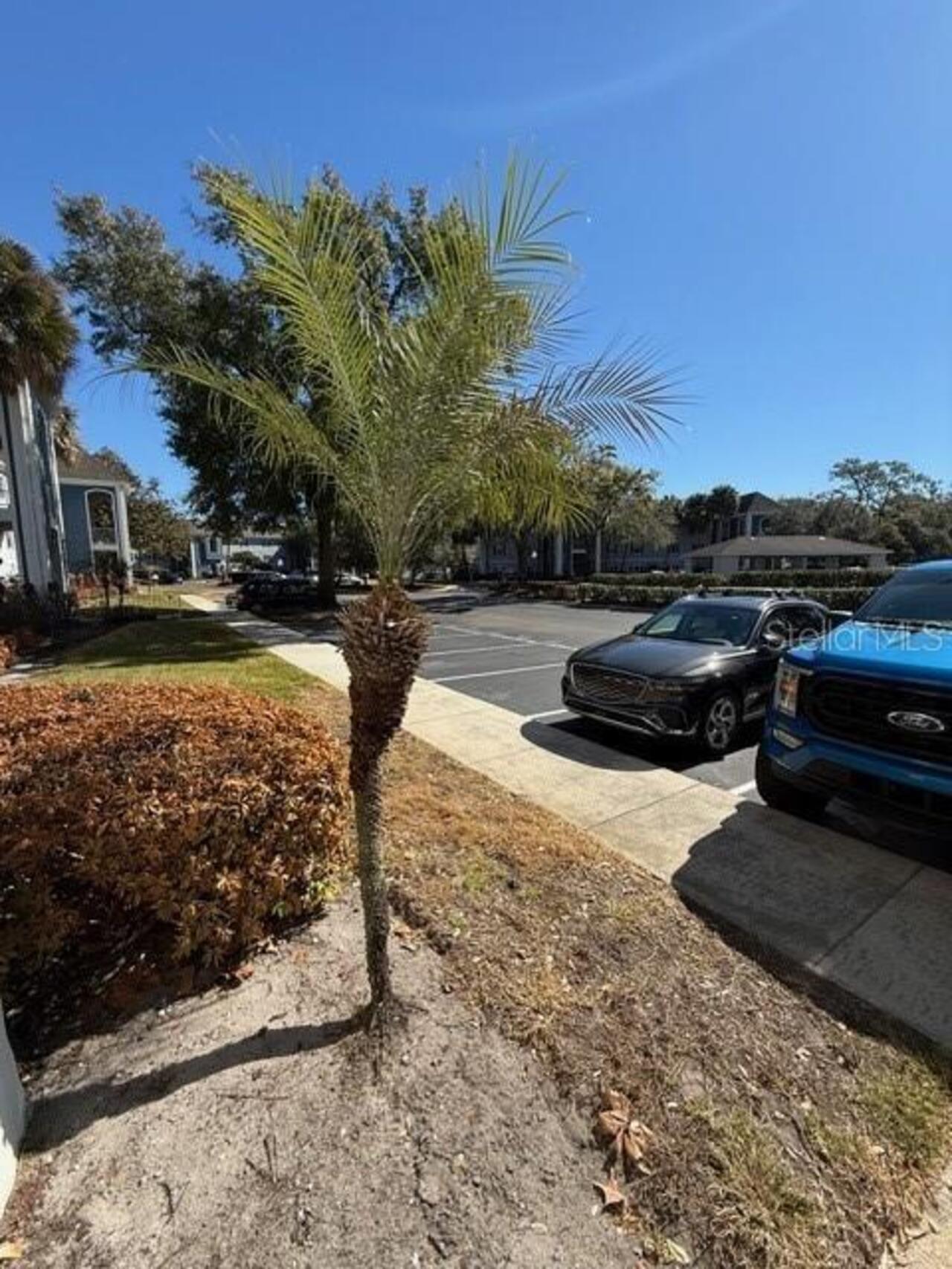 Listing Photo 21