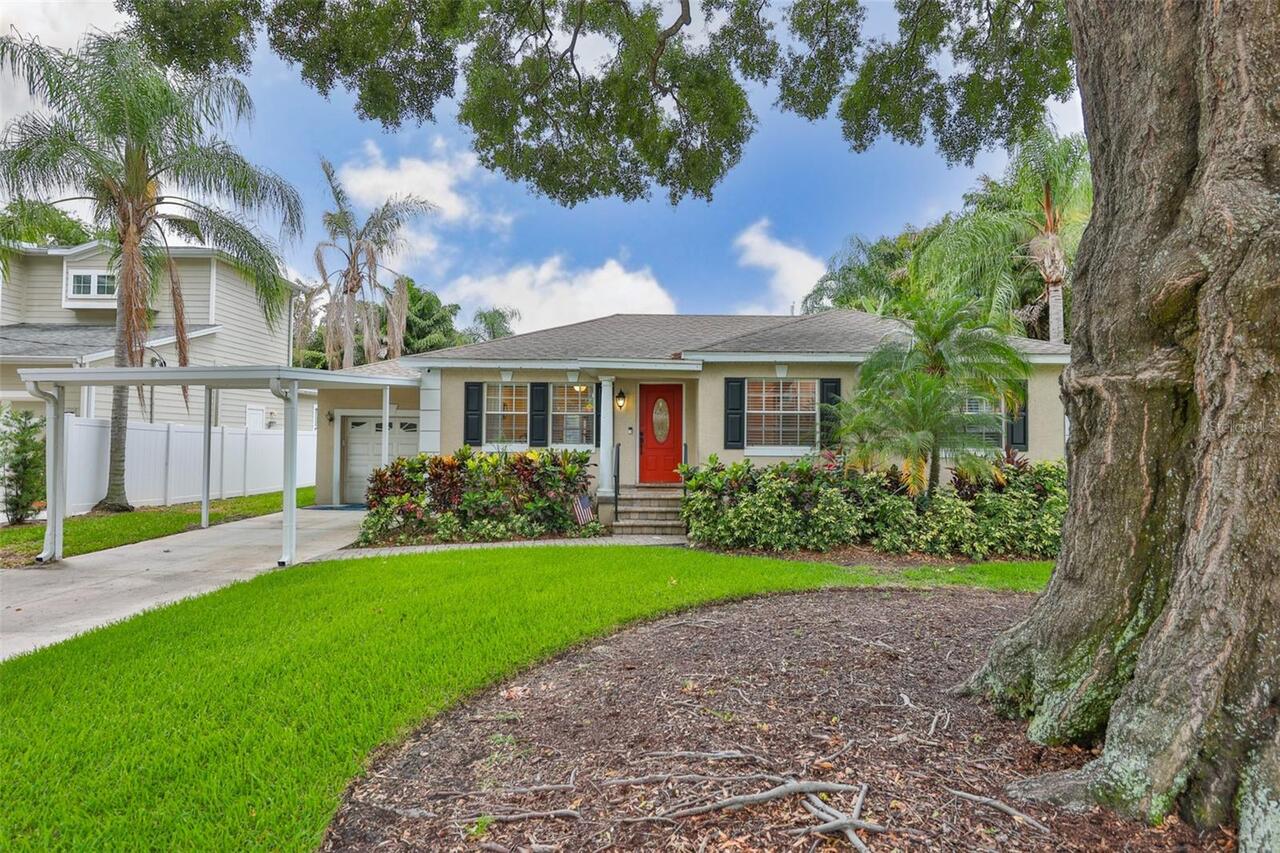 Tampa Real Estate