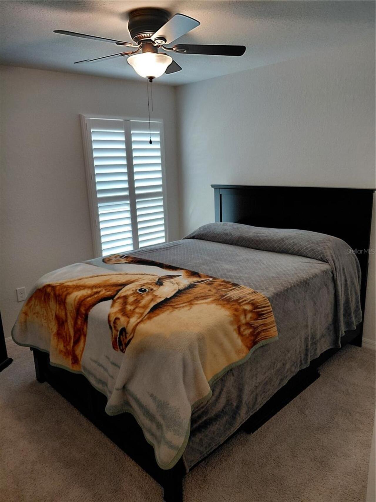Listing Photo 13