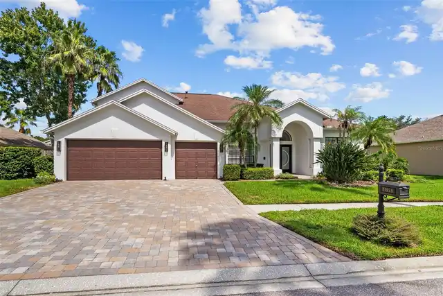 Tampa Real Estate
