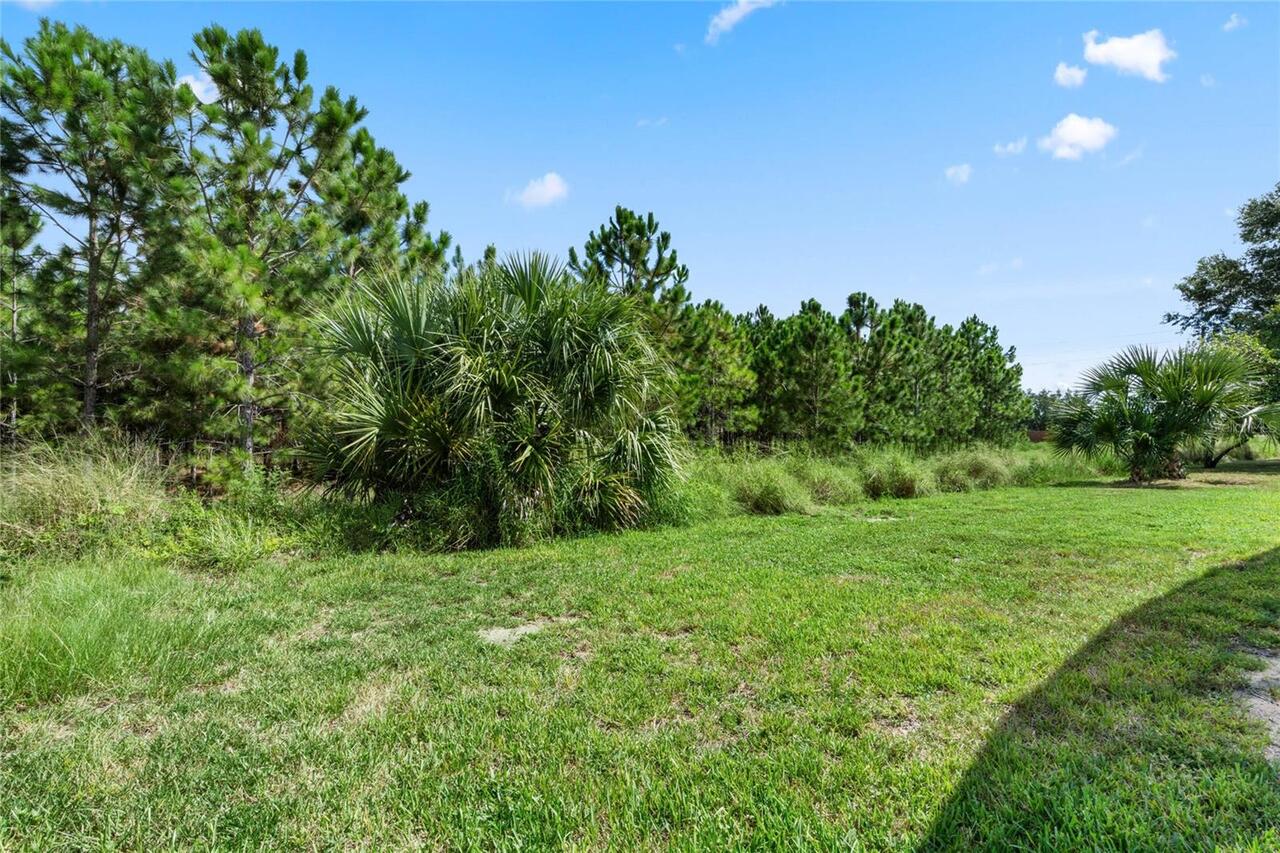 Listing Photo 67