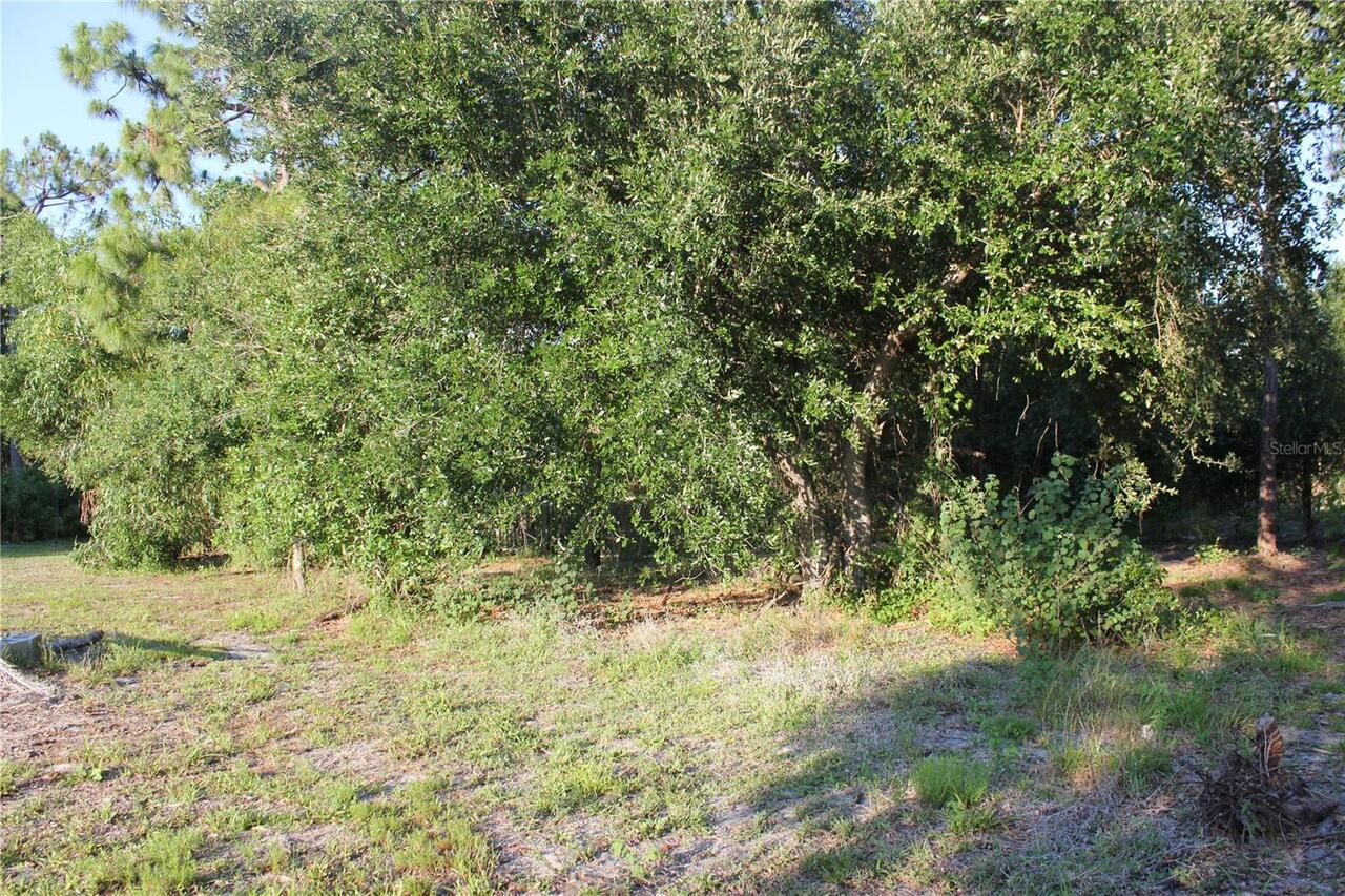 Listing Photo 34