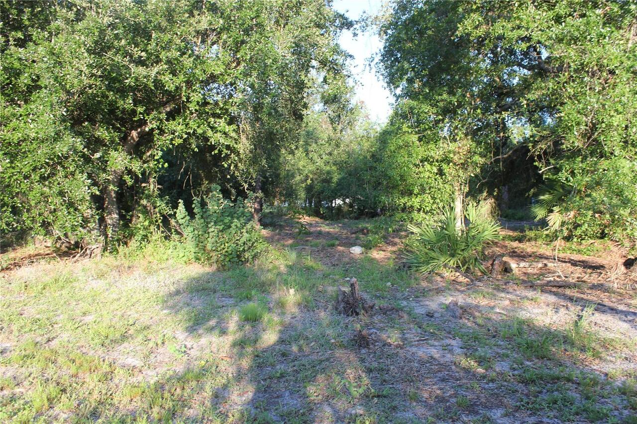 Listing Photo 35