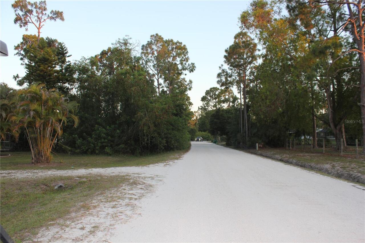 Listing Photo 42