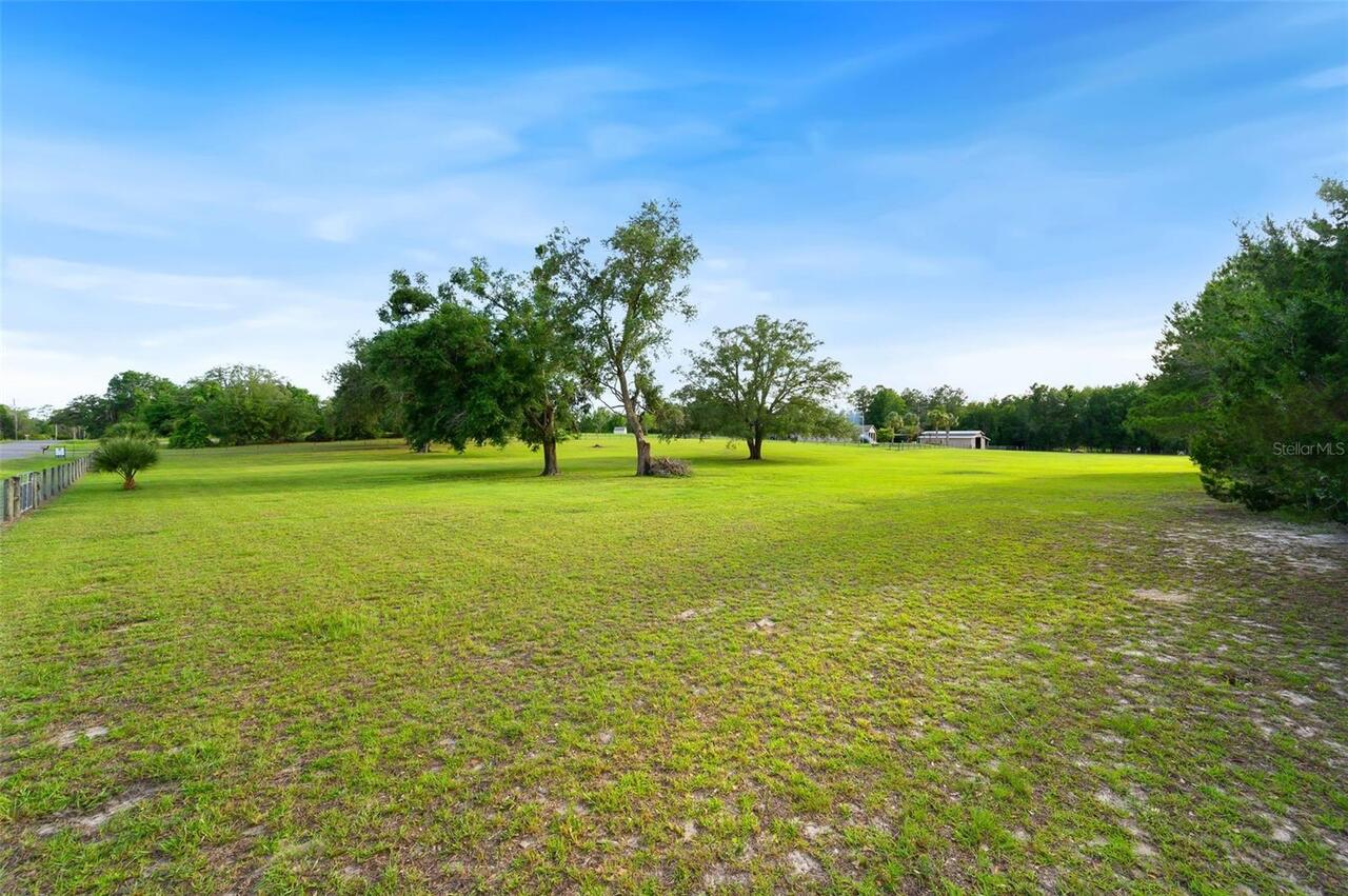 Listing Photo 99