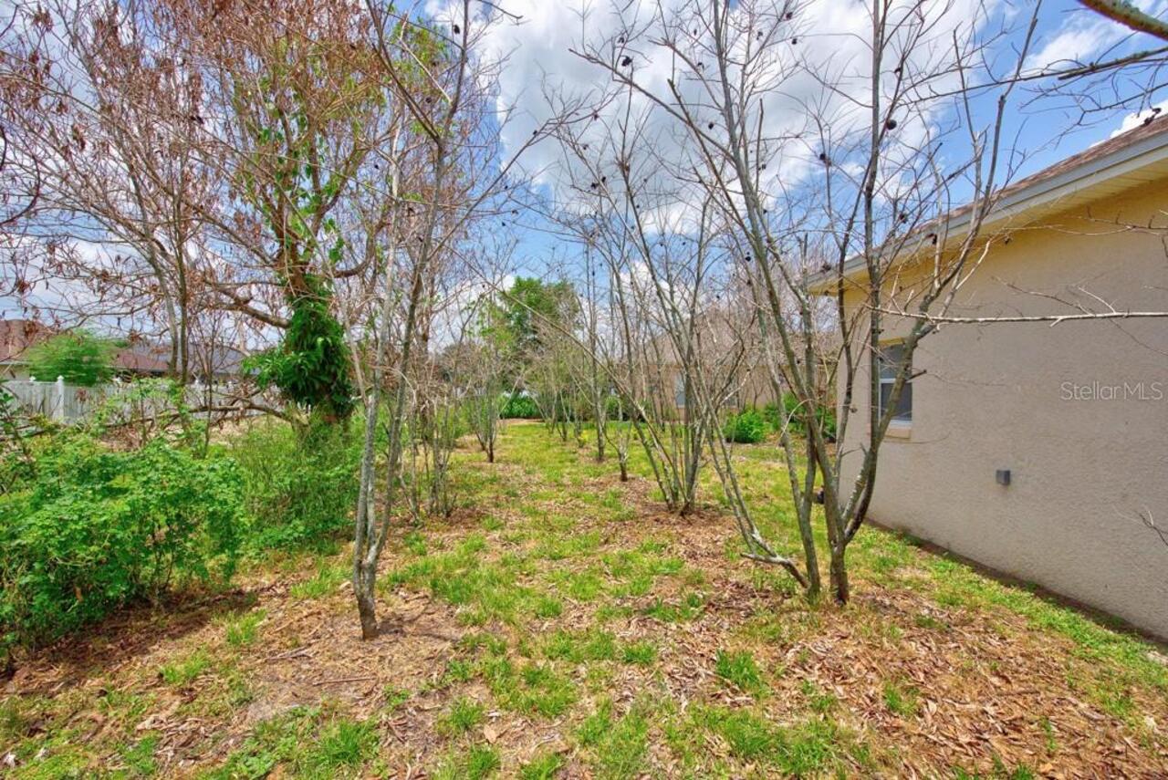 Listing Photo 45
