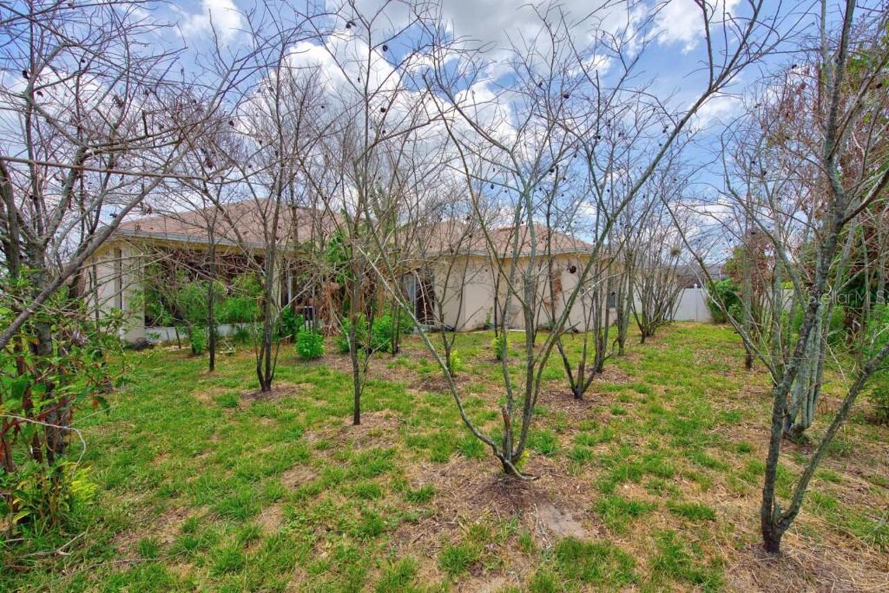 Listing Photo 46