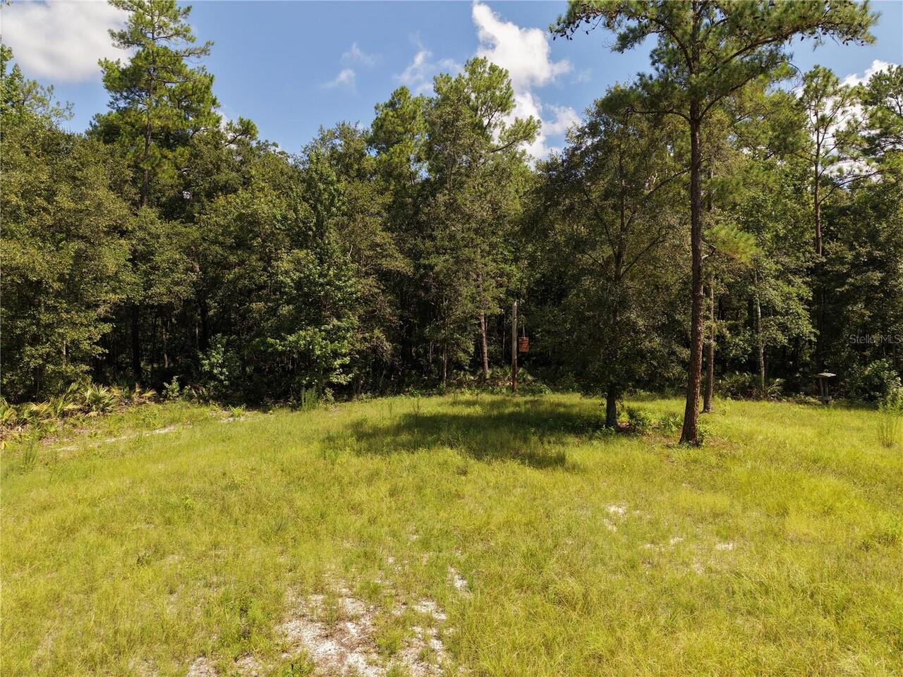 Listing Photo 31