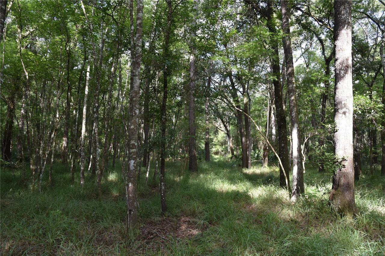 Listing Photo 58