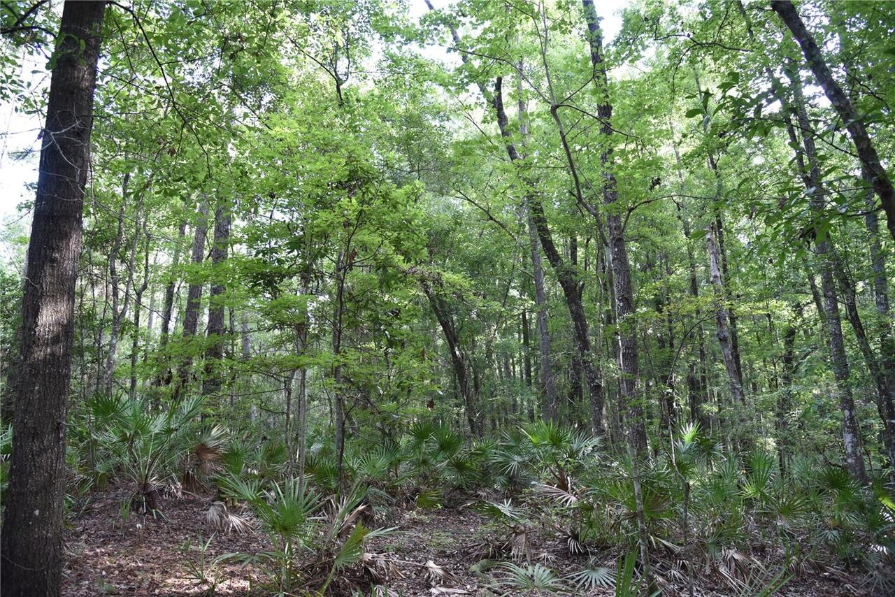 Listing Photo 74